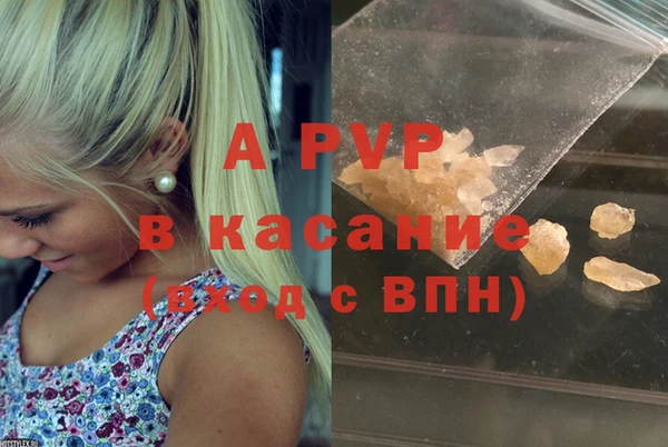 эйфоретик Белокуриха