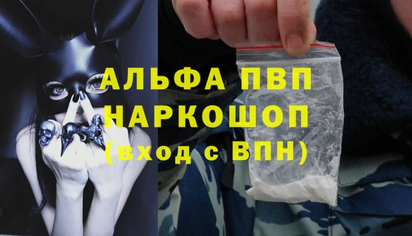 эйфоретик Белокуриха