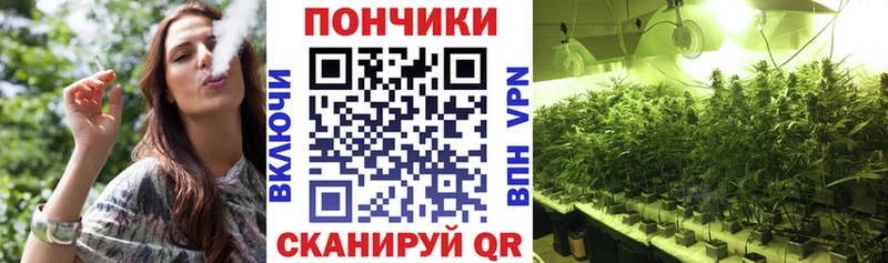 Шишки марихуана сатива  Кировск 